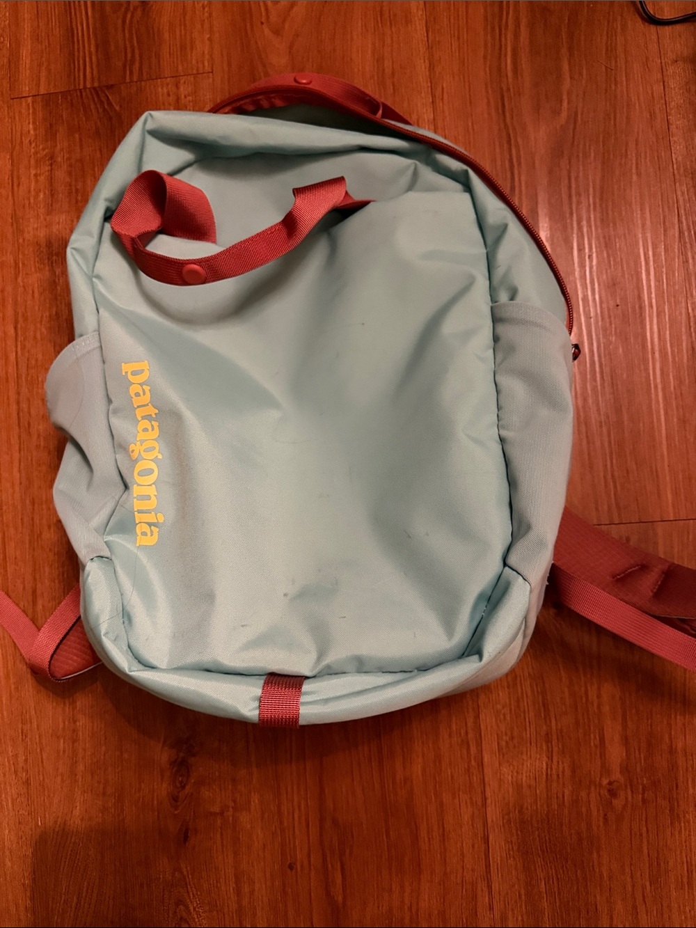 Patagonia backpack
